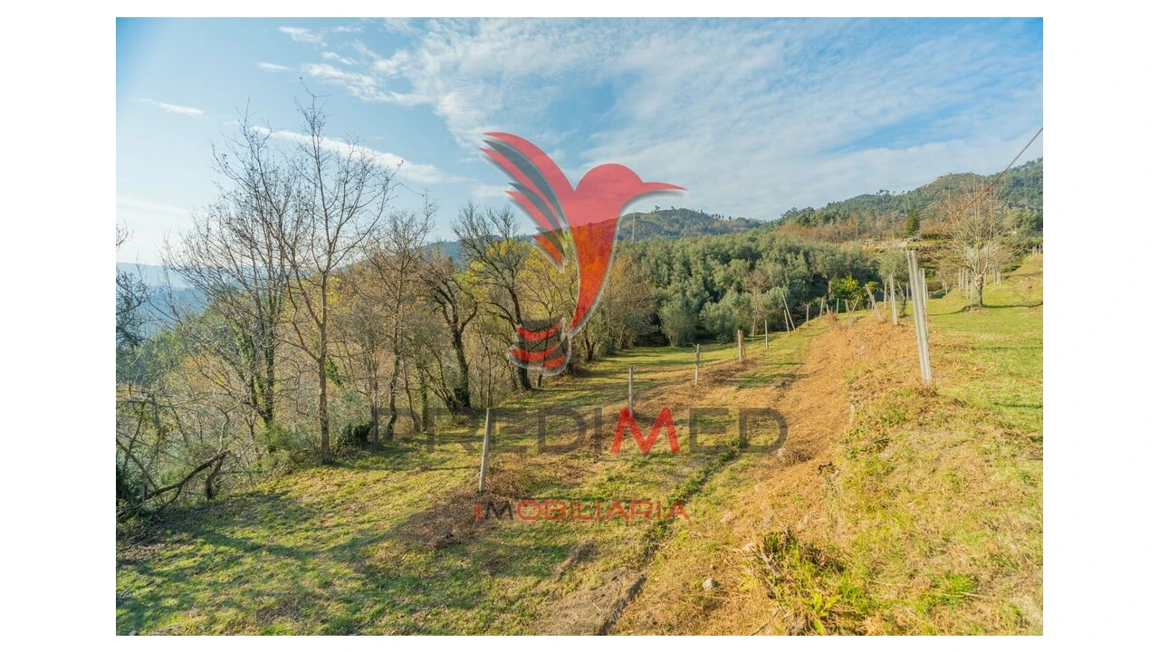 Terreno para Venda em Valdosende Foto 16