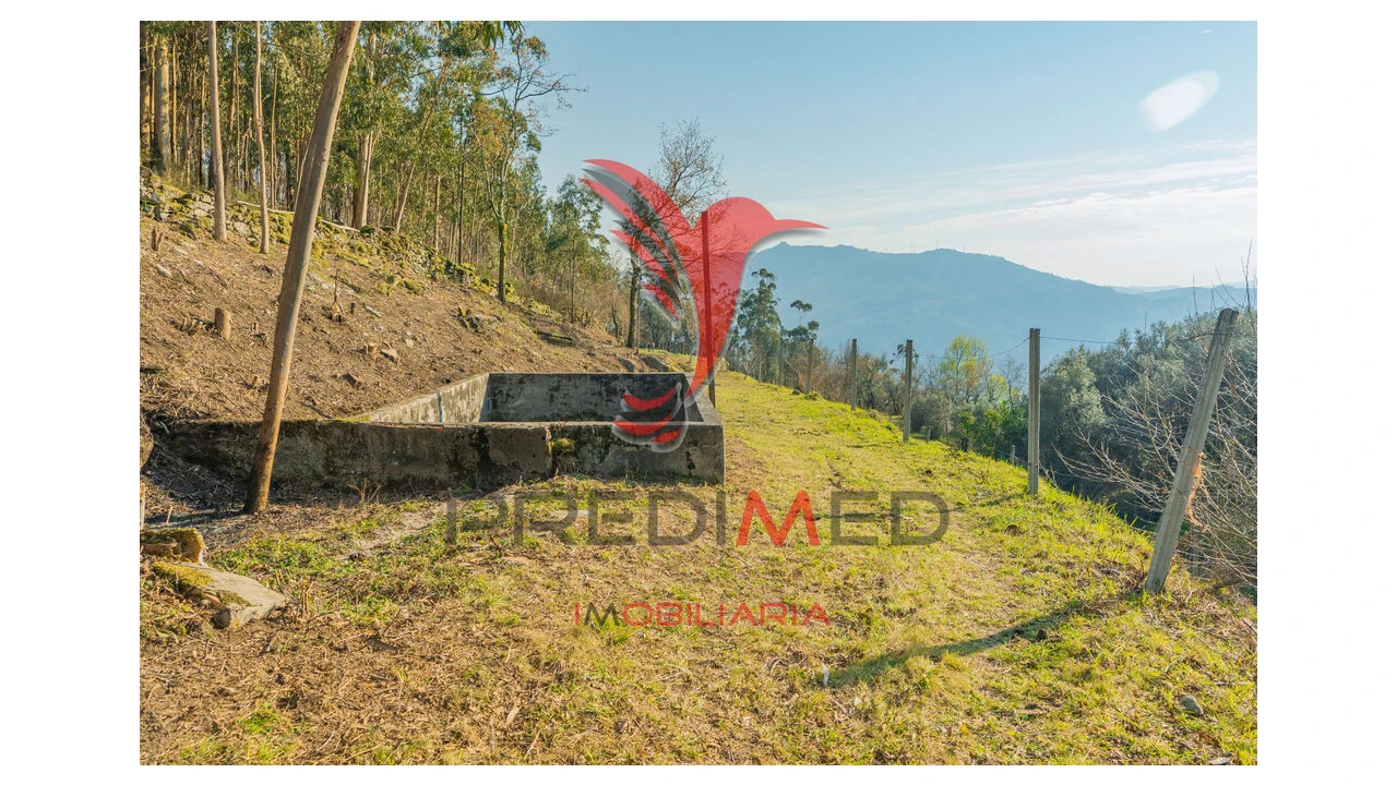 Terreno para Venda em Valdosende Foto 11