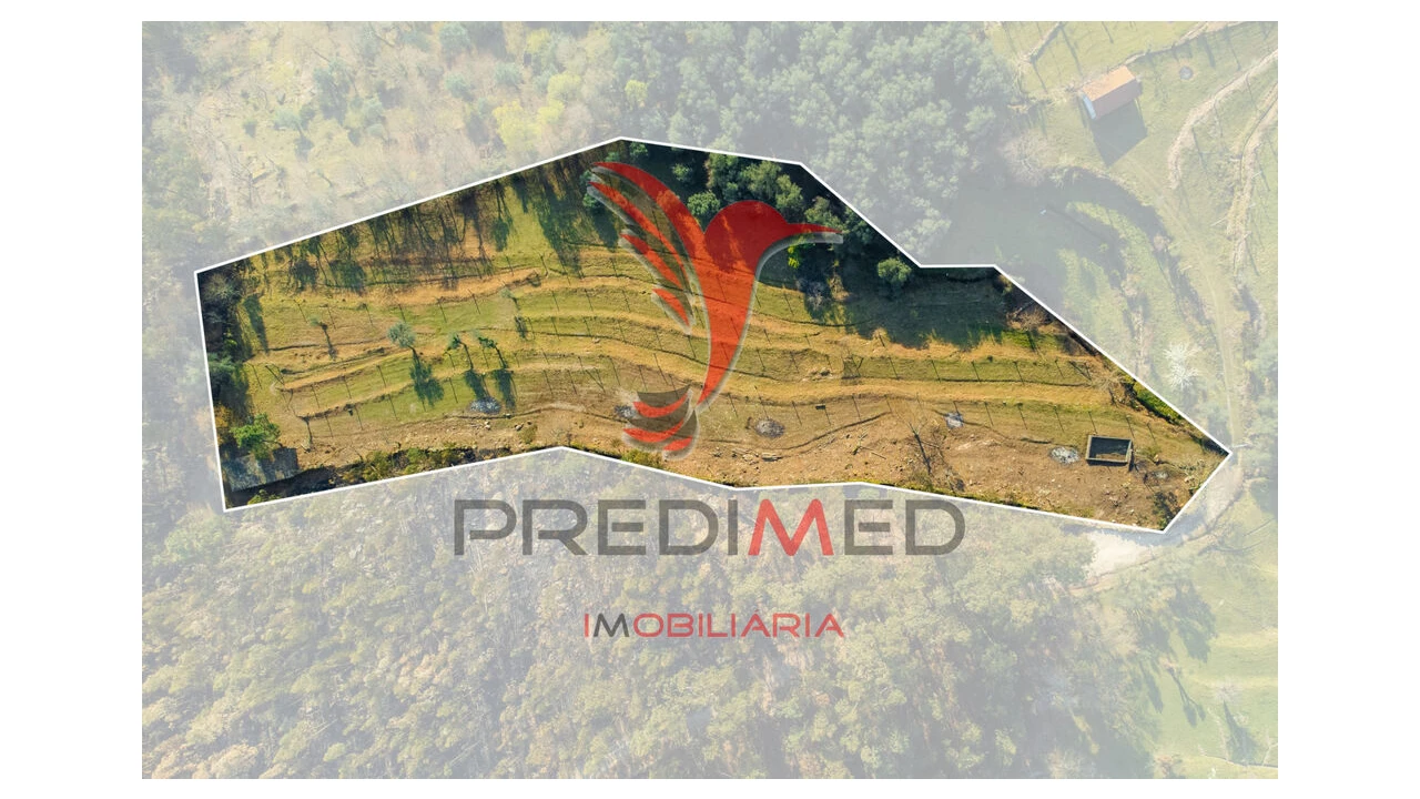 Terreno para Venda em Valdosende Foto 3