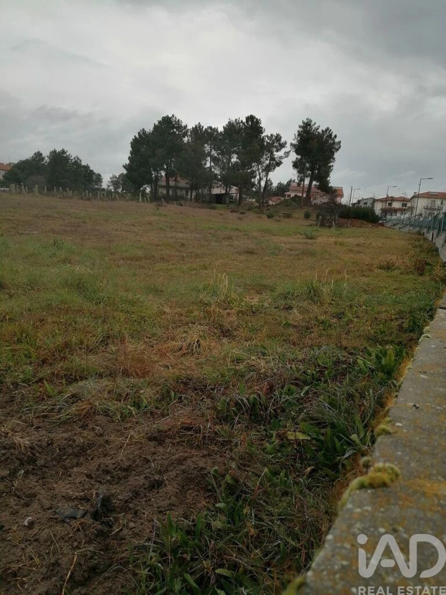 Terreno para Venda em Vale de Anta Foto 3