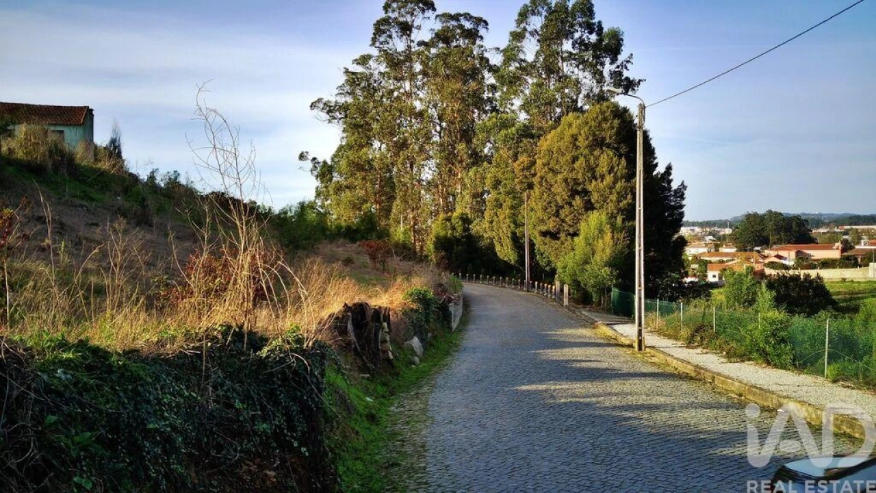 Terreno para Venda em Retorta e Tougues Foto 12