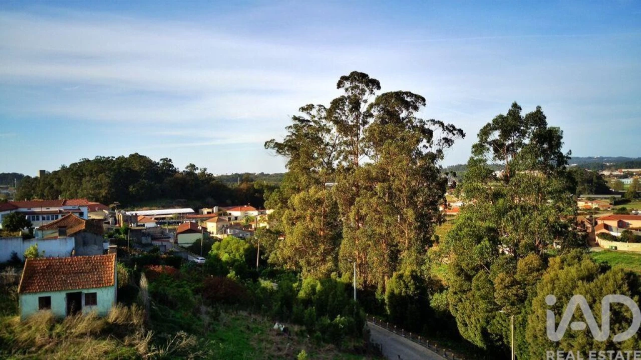 Terreno para Venda em Retorta e Tougues Foto 11