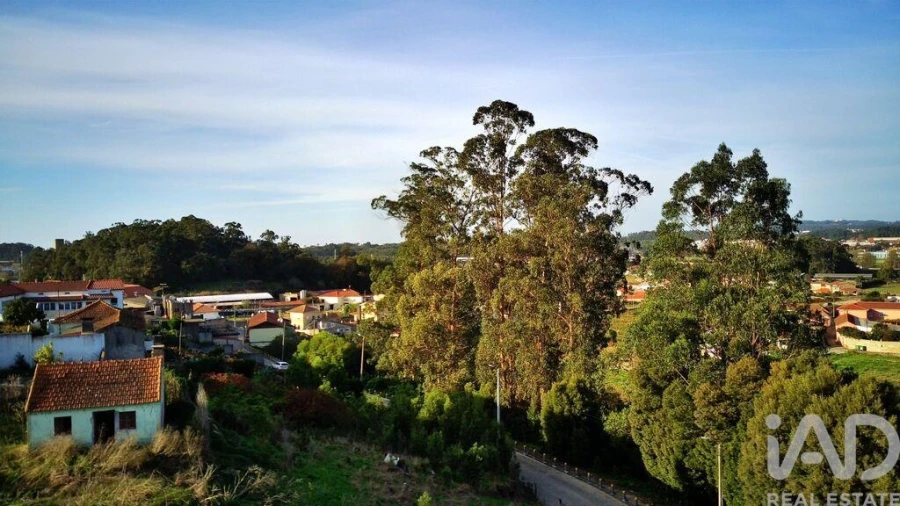 Terreno para Venda em Retorta e Tougues Foto 11