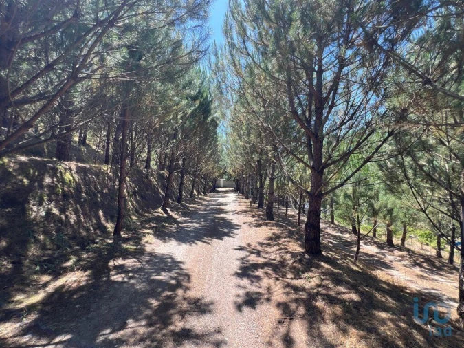 Moradia T4 para Venda em Castelões Foto 13