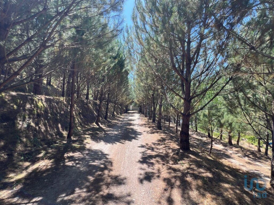 Moradia T4 para Venda em Castelões Foto 13