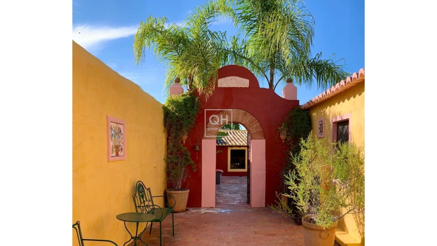 Quinta T12 para Venda em São Brás de Alportel Foto 36