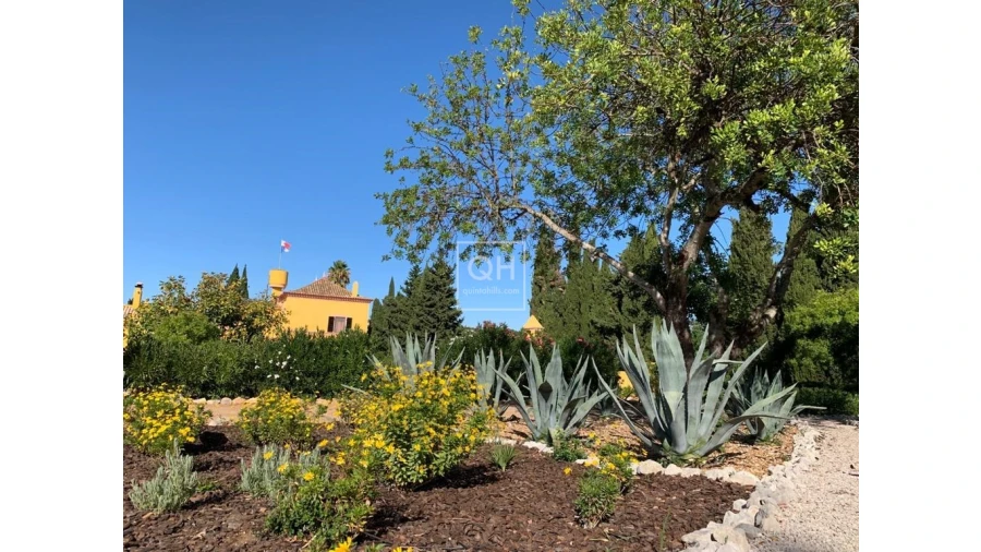 Quinta T12 para Venda em São Brás de Alportel Foto 38