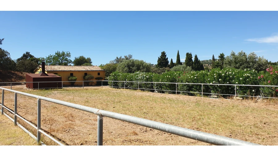 Quinta T12 para Venda em São Brás de Alportel Foto 29