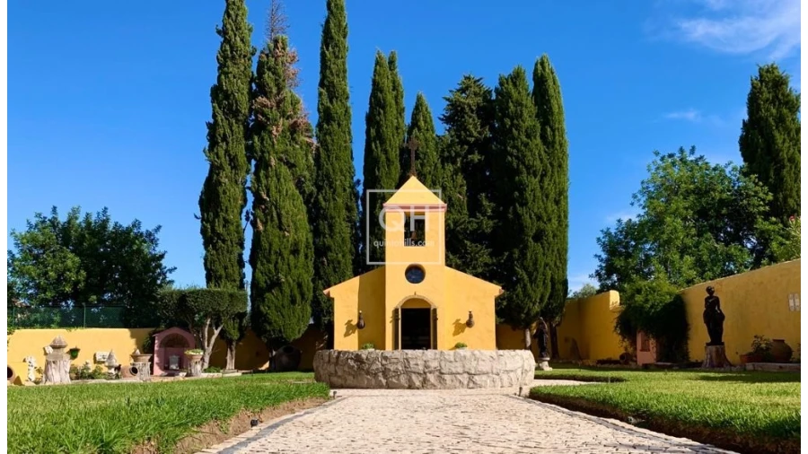 Quinta T12 para Venda em São Brás de Alportel Foto 5