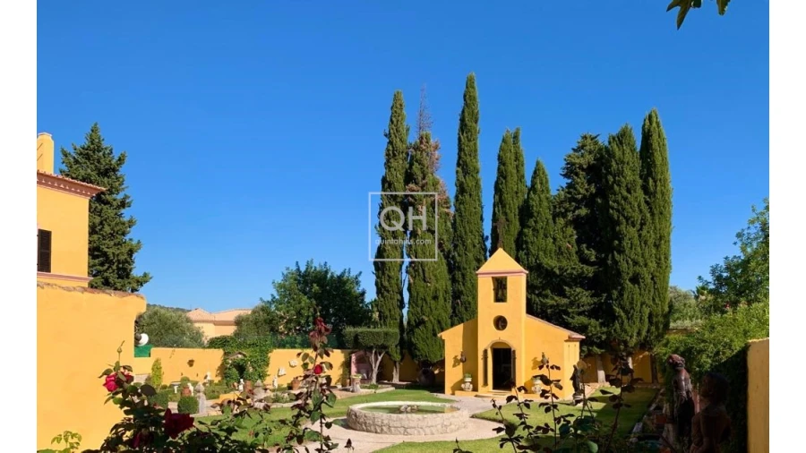 Quinta T12 para Venda em São Brás de Alportel Foto 4