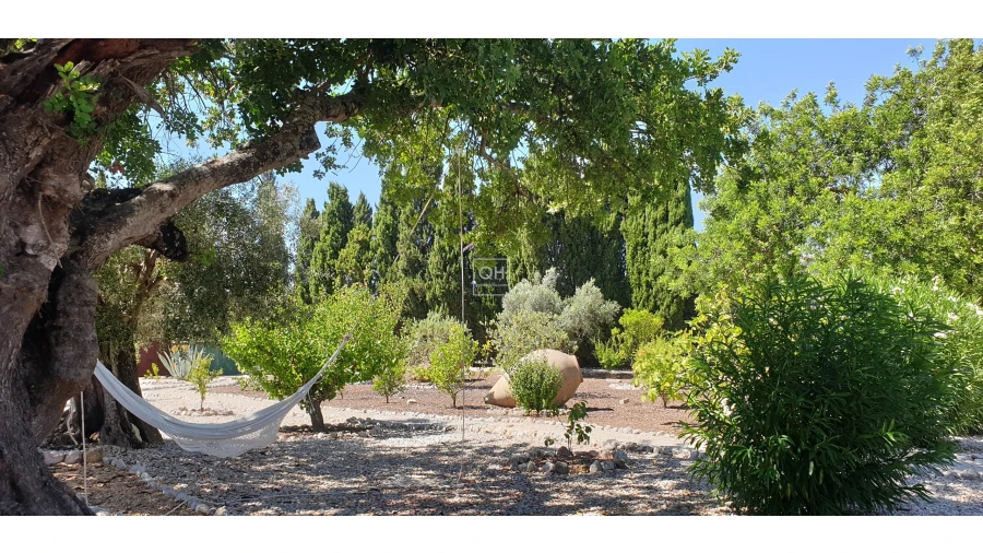 Quinta T12 para Venda em São Brás de Alportel Foto 20