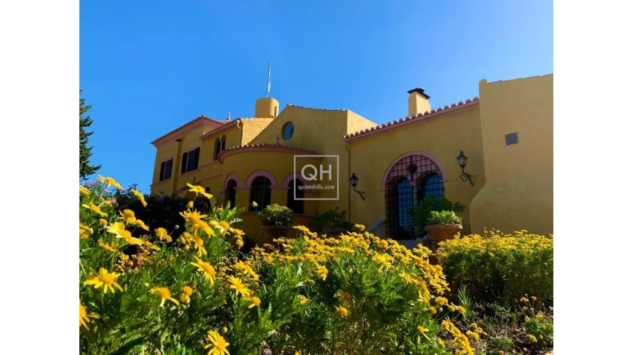 Quinta T12 para Venda em São Brás de Alportel Foto 33