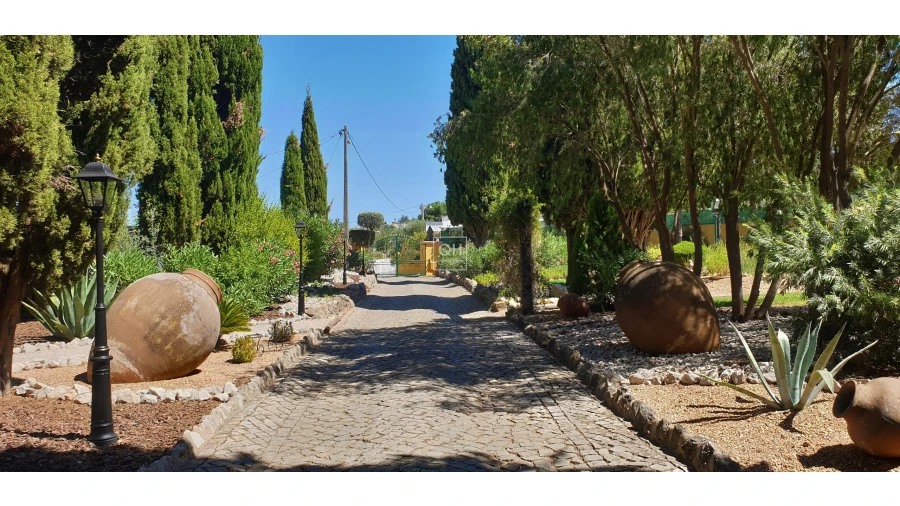 Quinta T12 para Venda em São Brás de Alportel Foto 19