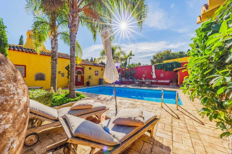 Quinta T12 para Venda em São Brás de Alportel Foto 36