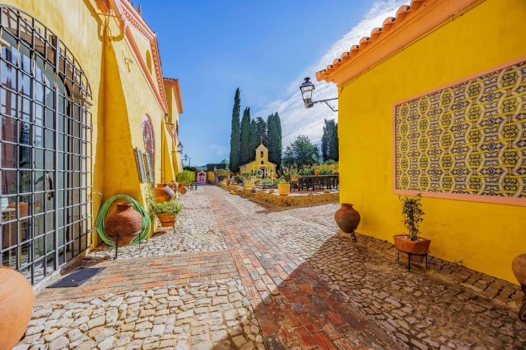 Quinta T12 para Venda em São Brás de Alportel Foto 22