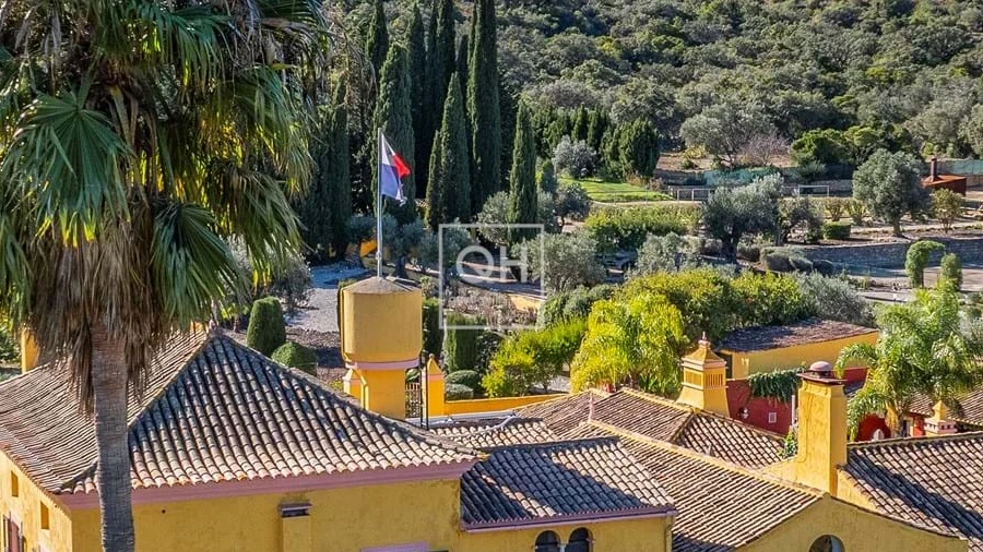 Quinta T12 para Venda em São Brás de Alportel