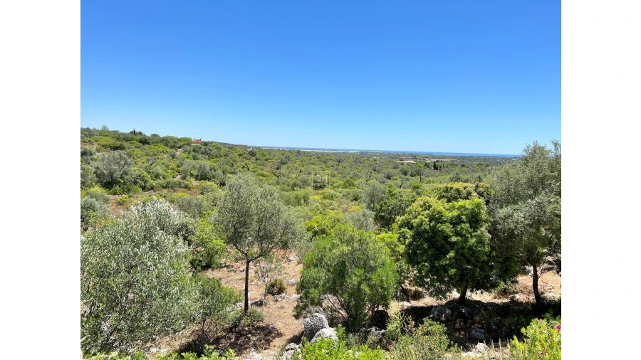 Moradia T7 para Venda em Olhão Foto 46