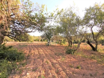 Moradia T3 para Venda em Loule (São Sebastião)