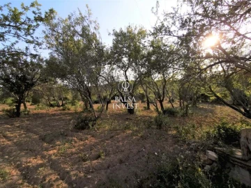 Moradia T3 para Venda em Loule (São Sebastião)