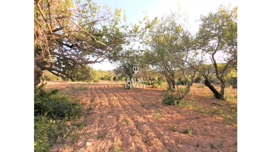 Moradia T3 para Venda em Loule (São Sebastião) Foto 16