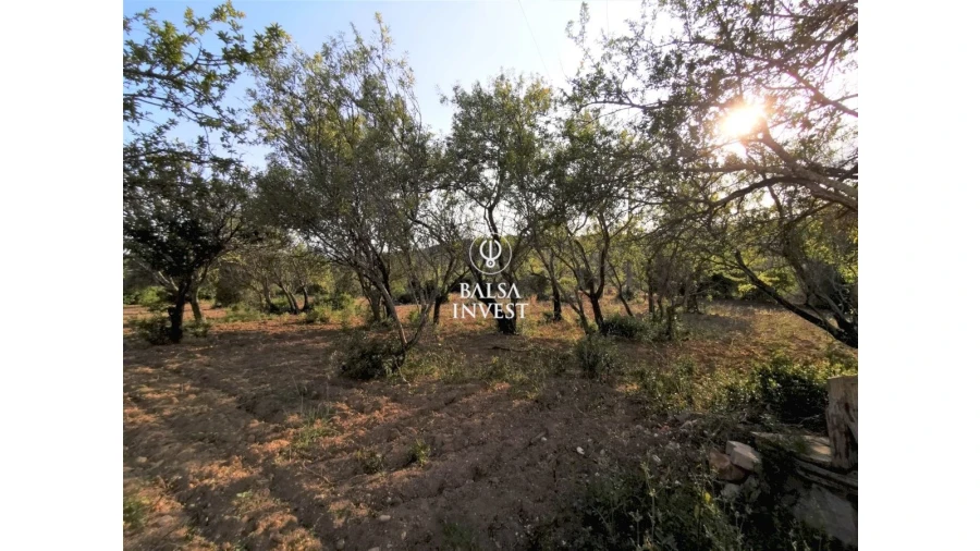 Moradia T3 para Venda em Loule (São Sebastião) Foto 15