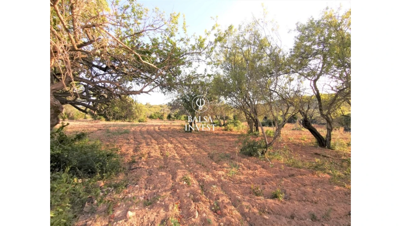 Moradia T3 para Venda em Loule (São Sebastião) Foto 16