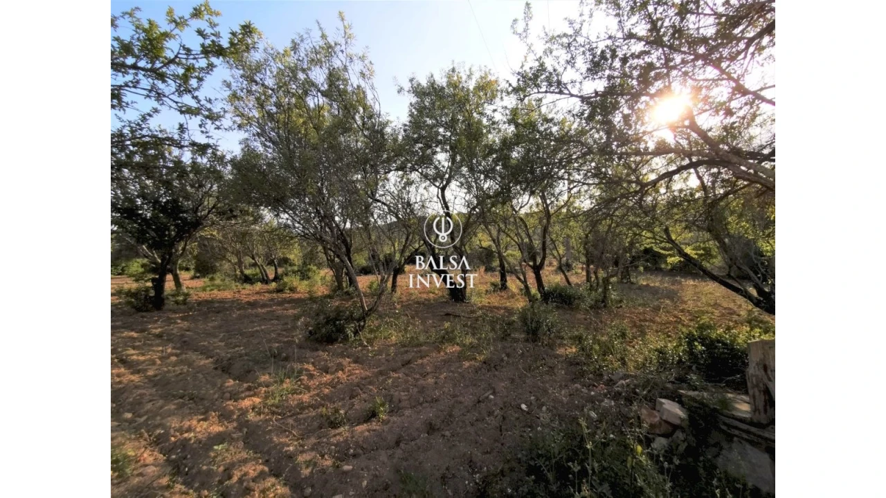 Moradia T3 para Venda em Loule (São Sebastião) Foto 15