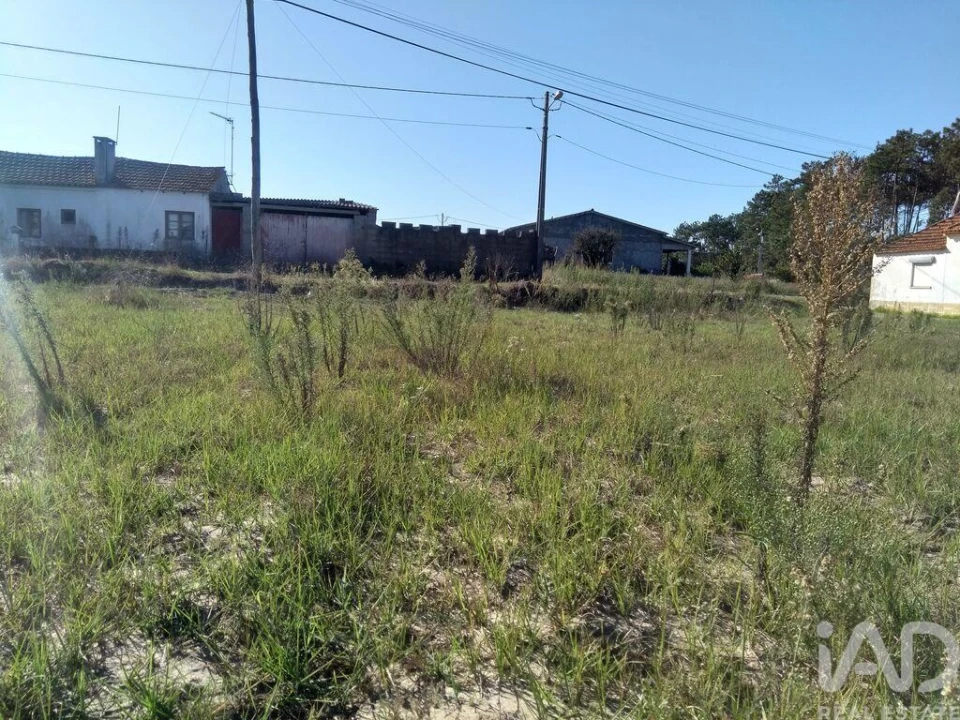 Terreno para Venda em Monte Redondo e Carreira Foto 8