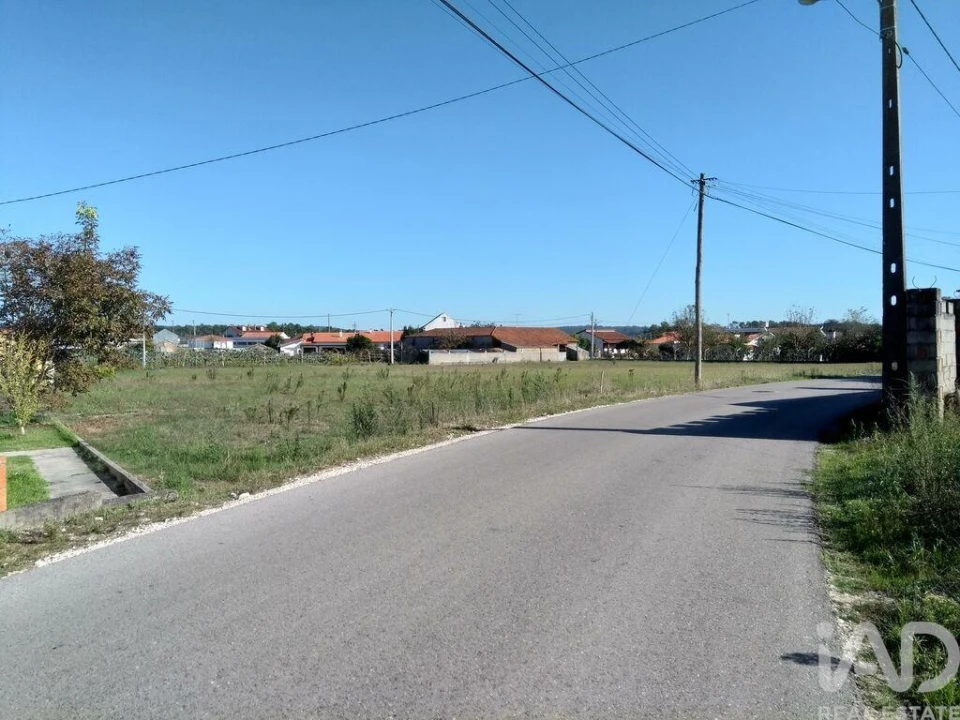 Terreno para Venda em Monte Redondo e Carreira Foto 6