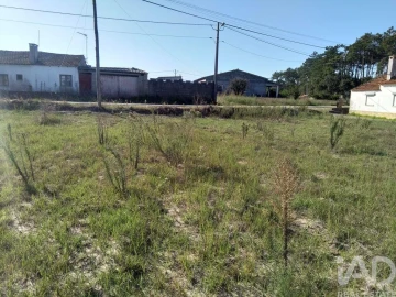 Terreno para Venda em Monte Redondo e Carreira