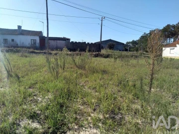 Terreno para Venda em Monte Redondo e Carreira