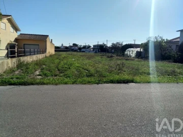 Terreno para Venda em Monte Redondo e Carreira
