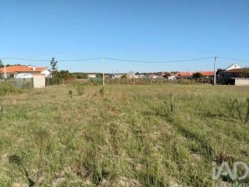 Terreno para Venda em Monte Redondo e Carreira