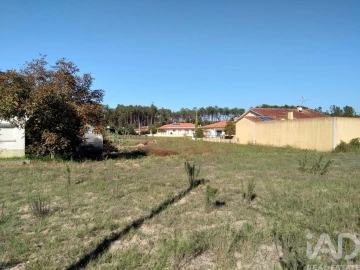 Terreno para Venda em Monte Redondo e Carreira