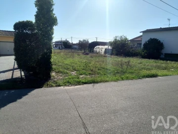 Terreno para Venda em Monte Redondo e Carreira
