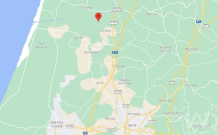 Terreno para Venda em Monte Redondo e Carreira