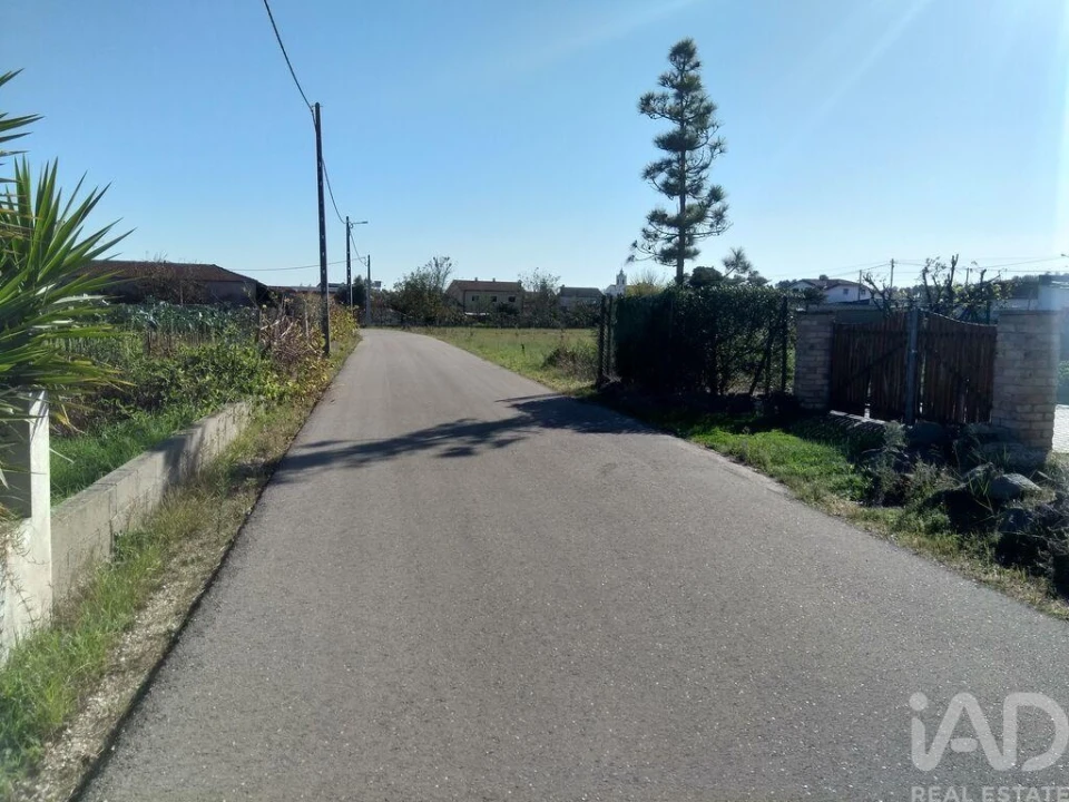 Terreno para Venda em Monte Redondo e Carreira Foto 14