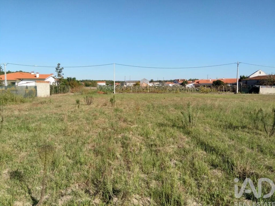 Terreno para Venda em Monte Redondo e Carreira Foto 9
