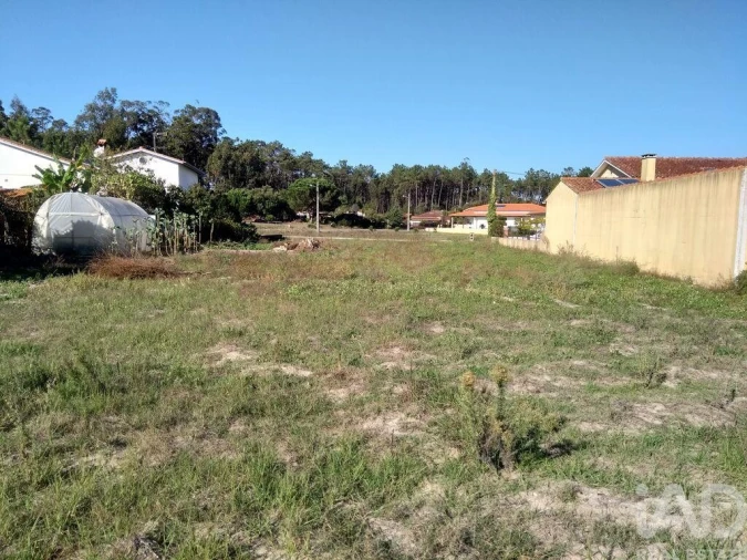 Terreno para Venda em Monte Redondo e Carreira Foto 20