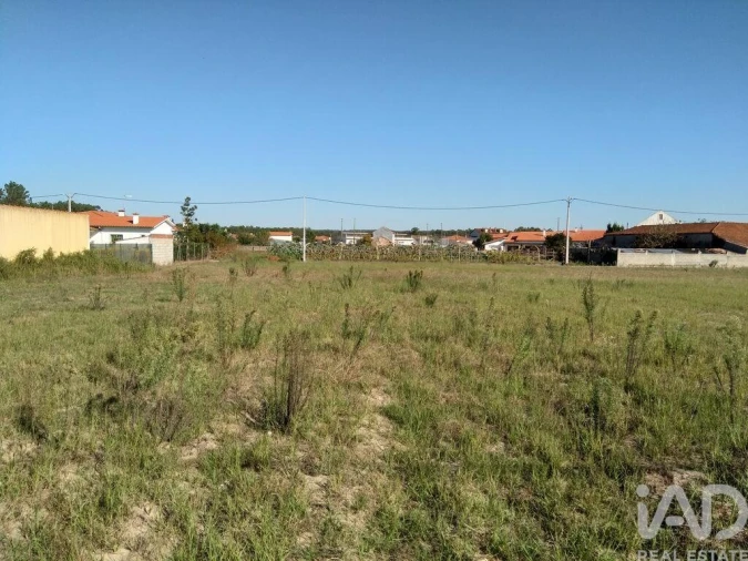 Terreno para Venda em Monte Redondo e Carreira Foto 2
