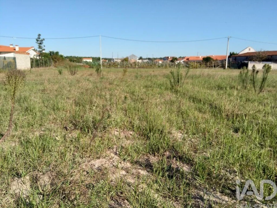 Terreno para Venda em Monte Redondo e Carreira Foto 10