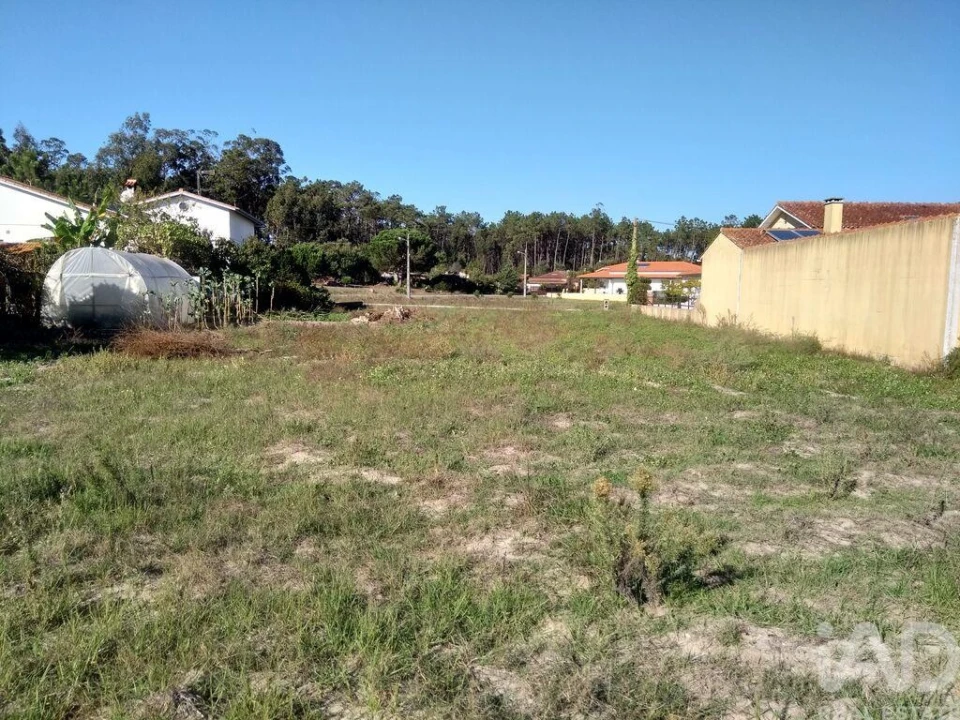 Terreno para Venda em Monte Redondo e Carreira Foto 20