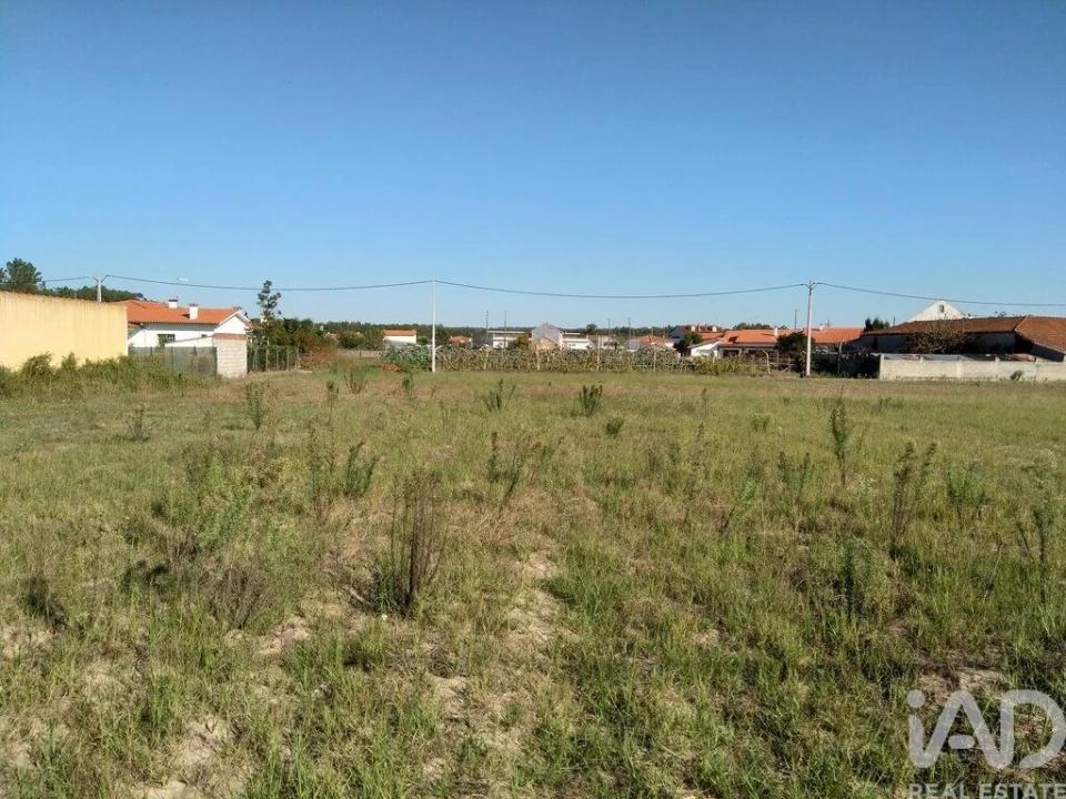Terreno para Venda em Monte Redondo e Carreira Foto 2
