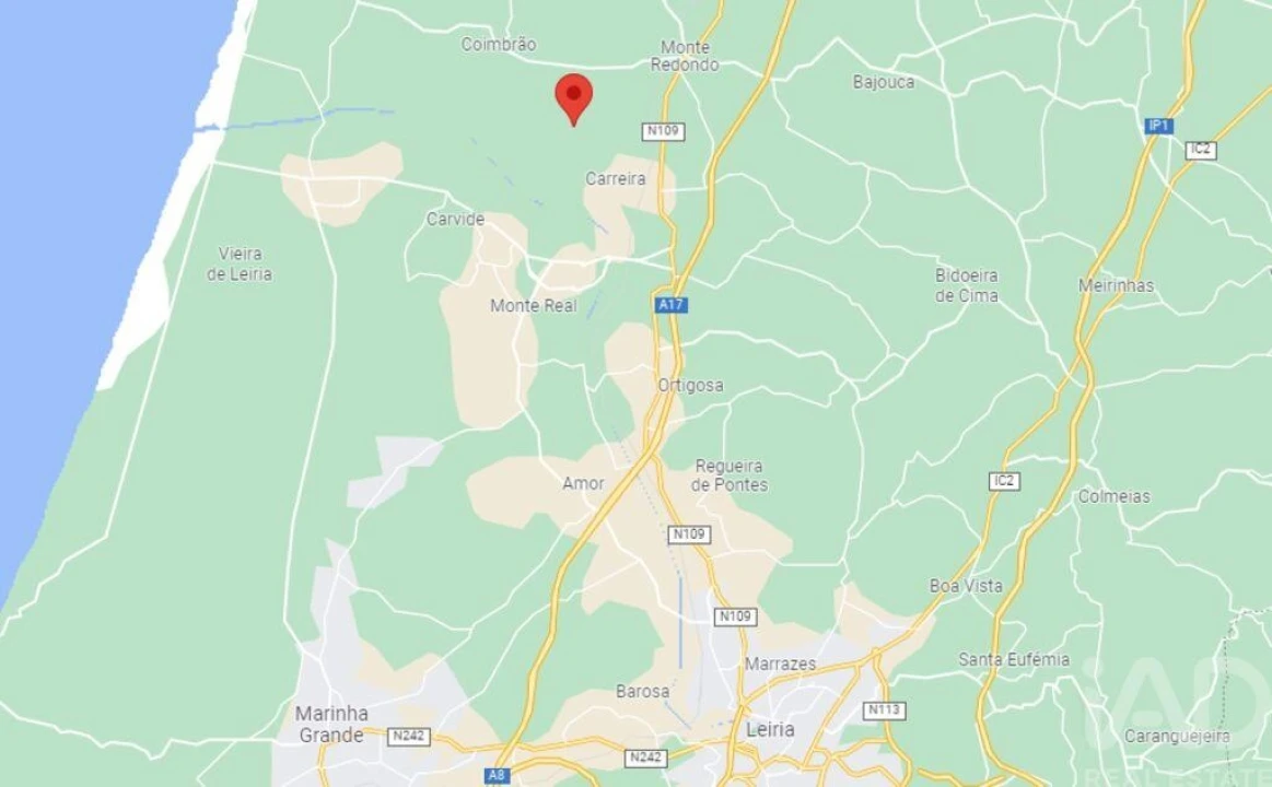 Terreno para Venda em Monte Redondo e Carreira Foto 22