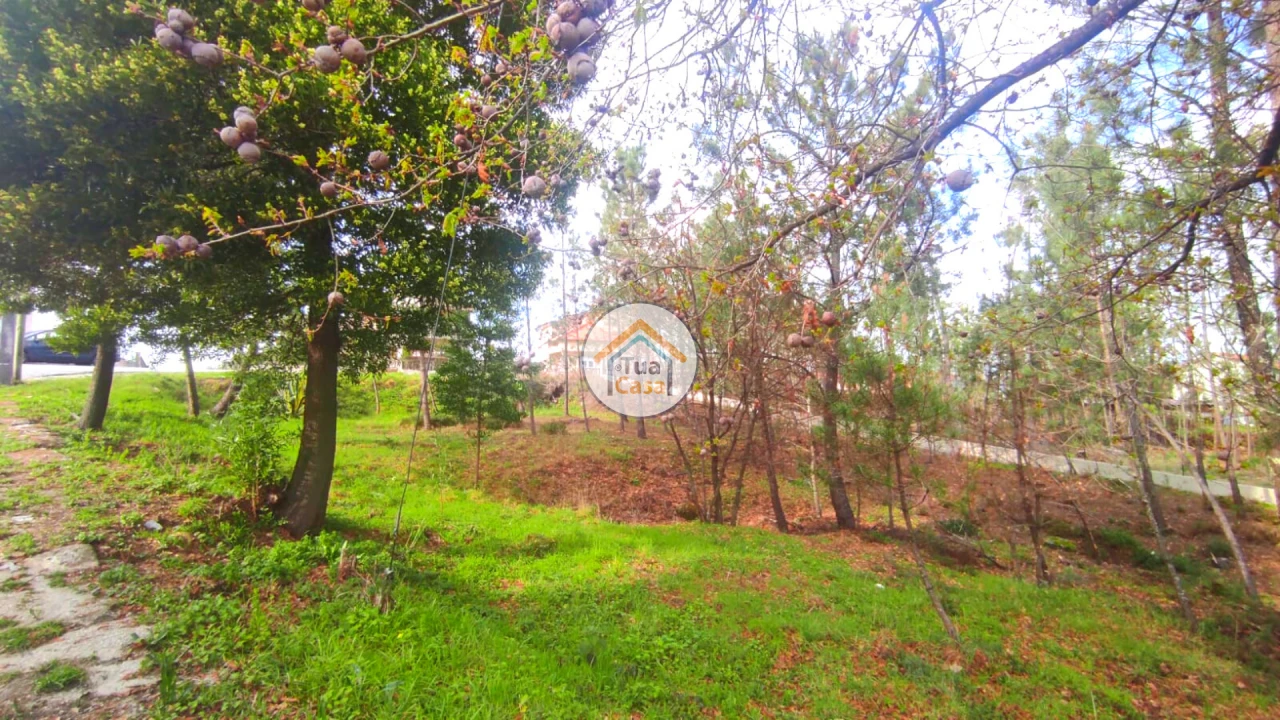 Terreno para Venda em Calde Foto 5
