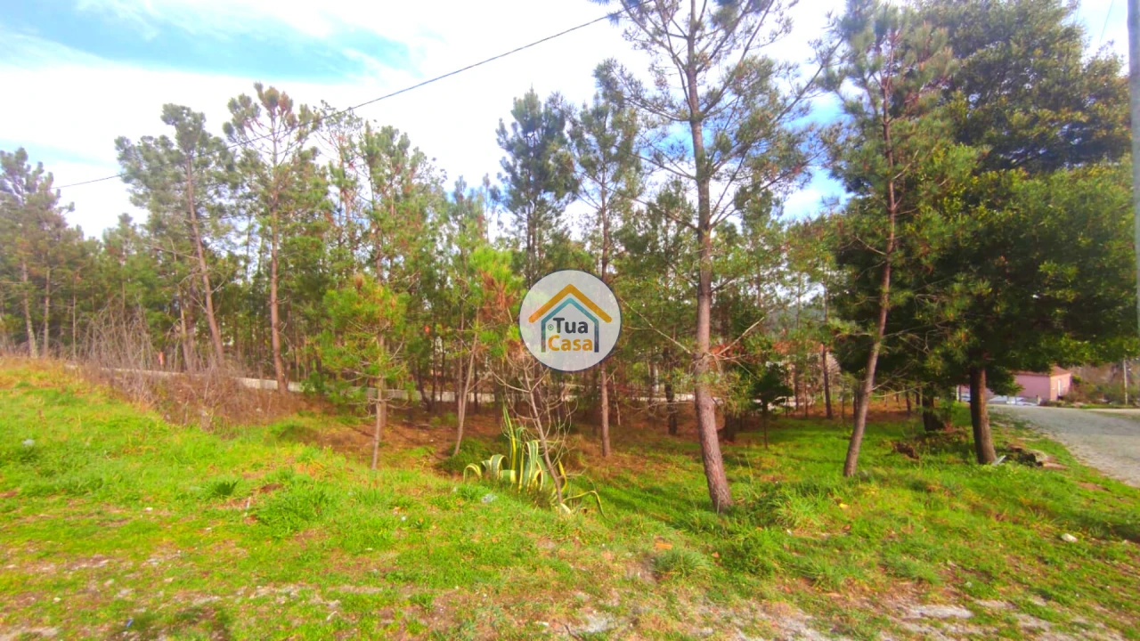 Terreno para Venda em Calde Foto 1