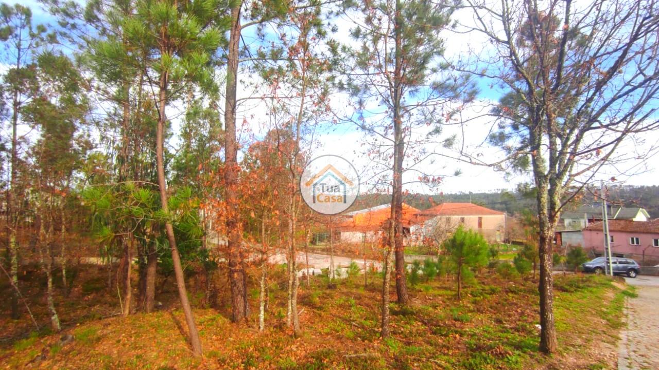 Terreno para Venda em Calde Foto 16
