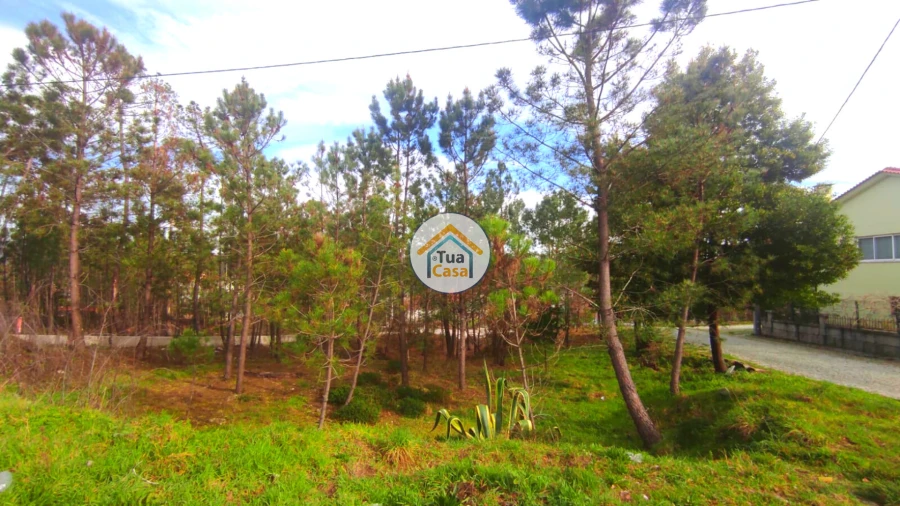 Terreno para Venda em Calde Foto 10