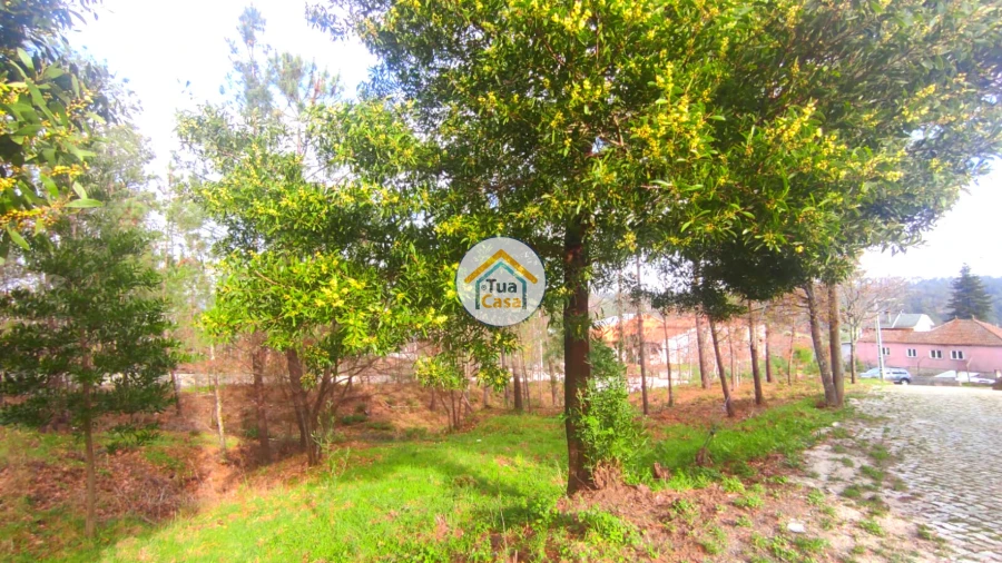 Terreno para Venda em Calde Foto 4