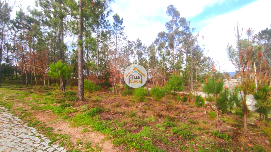 Terreno para Venda em Calde Foto 6